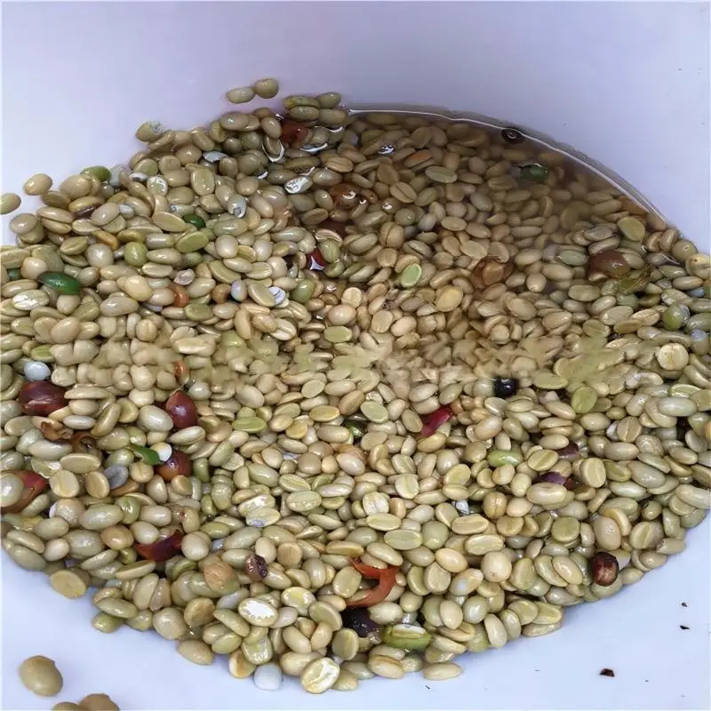 Specialty Parchment Coffee Roa - đánh giá và giá Coffee Equipment For Business